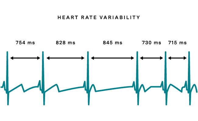 heart rate variability heart rate variability