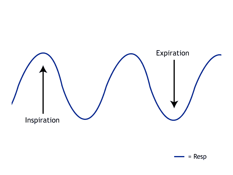 heart rate variability heart rate variability