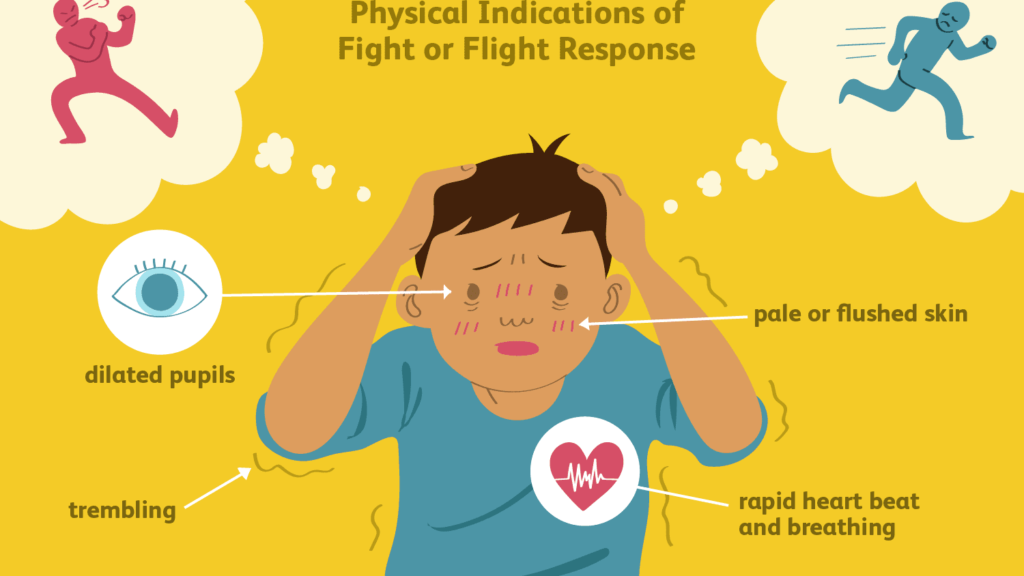What Does HRV and the Vagus Nerve Have to Do With Anxiety What Does HRV and the Vagus Nerve Have to Do With Anxiety
